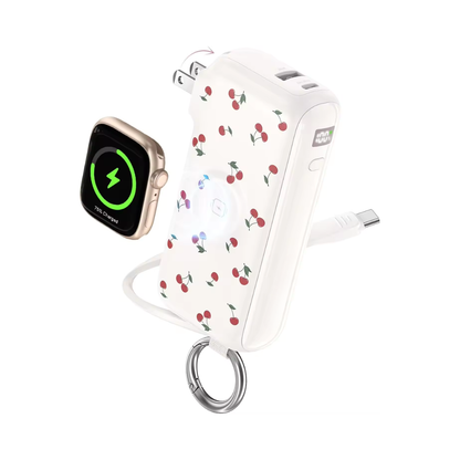VoltSnap Powerbank