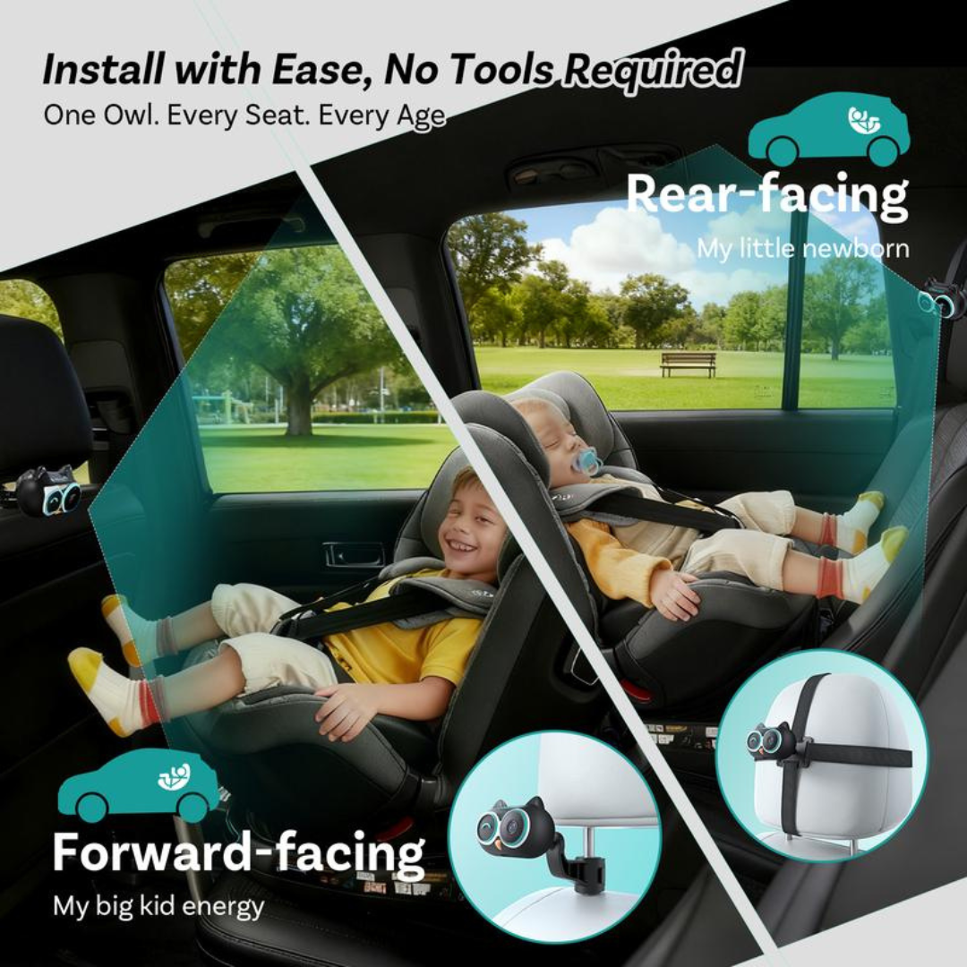 OwlEye DriveCam