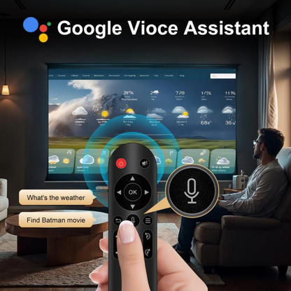 VisionPro Mini Projector
